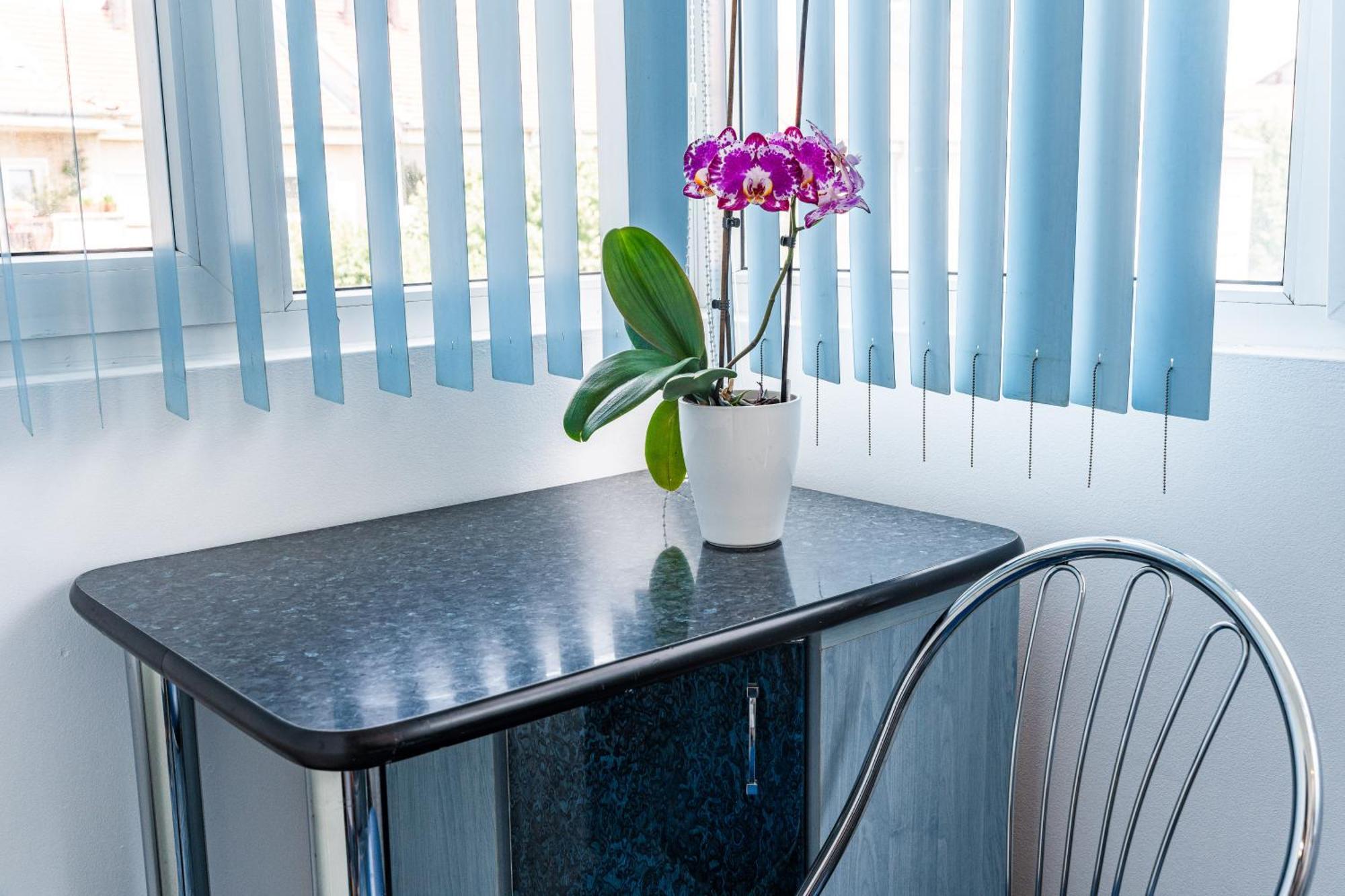 Arad Central Joy - Mihaela Apartment 외부 사진
